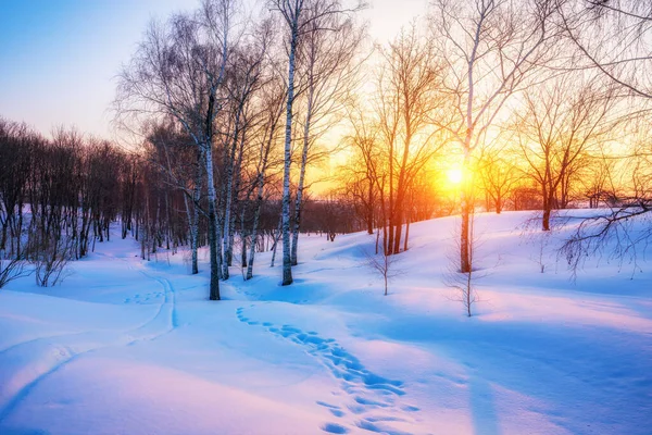Colorful winter sunset — Stock Photo, Image