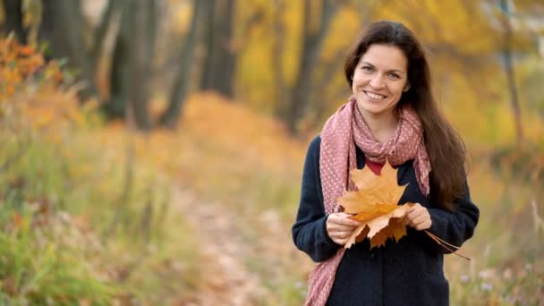 Jeune femme dans le parc d'automne — Video