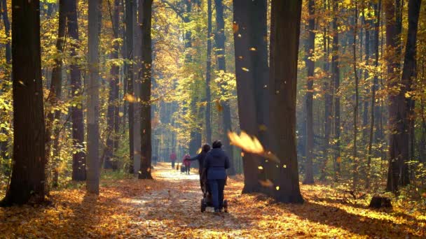 MOSCÚ - 16 de octubre de 2018: La gente disfruta caminar en el soleado parque de otoño en la caída de las hojas — Vídeo de stock