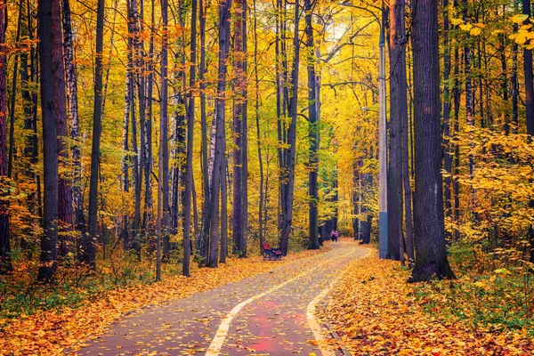 Pathway in autumn park — Stock Photo, Image