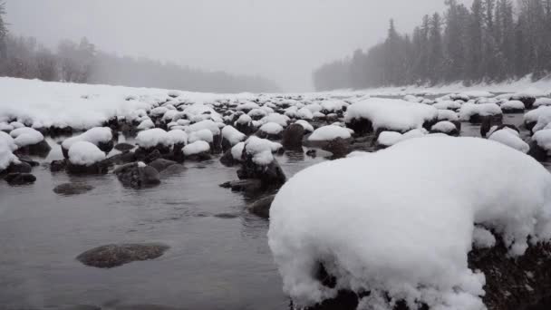 Зимова Сцена Гірській Річці Під Час Сильний Снігопад — стокове відео
