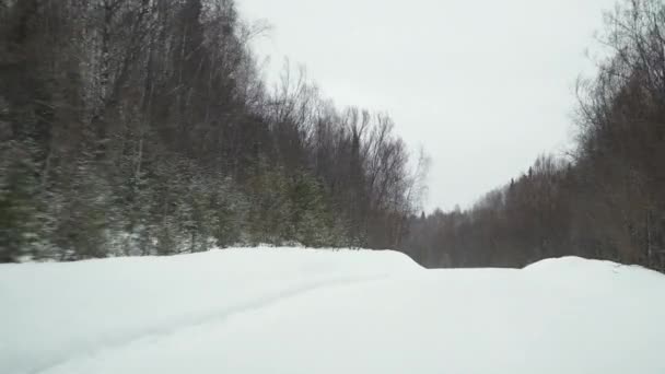 Conducir Invierno Conducir Una Vista Carretera Forestal Invierno Desde Ventana — Vídeo de stock