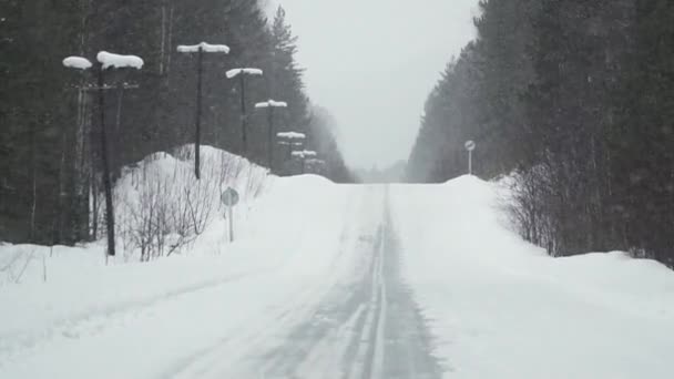 Dirigir Uma Floresta Inverno Vista Estrada Partir Janela Frente Movimento — Vídeo de Stock