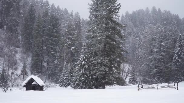 冬山下雪下废弃的小木屋 — 图库视频影像