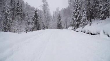 Yoğun kar yağışı sırasında bir yol ile kış orman.