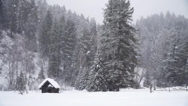 Verlassenes Holzhaus Unter Schneefall Den Winterbergen — Stockvideo