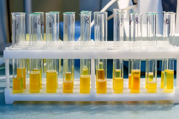 Testes médicos laboratoriais in vitro . — Fotografia de Stock