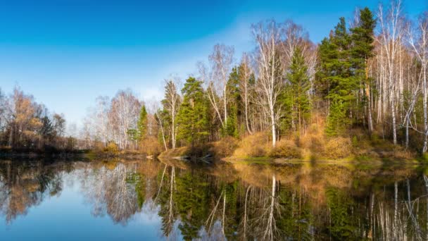 水の雲の反射と青空の下で秋の森 秋の自然景観 — ストック動画