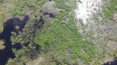 Yaz mevsiminde Bataklık Arazi ve Çayırların Havadan Görünümü