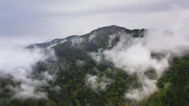 Sis Bulutların Arasından Dağların Üzerinden Uçuyor Altai Dağları — Stok video
