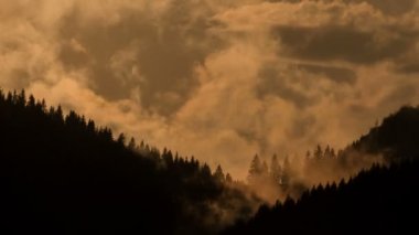 Karanlık Orman zaman atlamalı