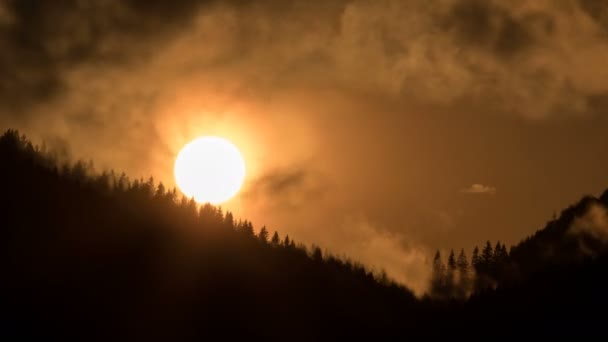 Oranje Zonsondergang Donker Bos Silhouet Time Lapse — Stockvideo