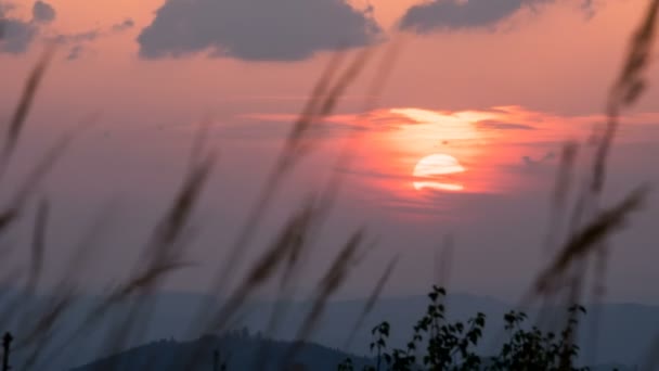 Πολύχρωμο Ηλιοβασίλεμα Πάνω Από Γρασίδι Time Lapse — Αρχείο Βίντεο