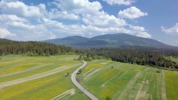 Повітряний Панорамний Вид Свіжий Весняний Пейзаж — стокове відео