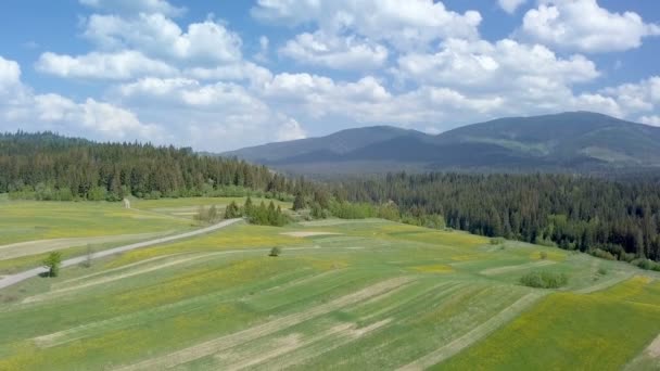 Aerial Krajobraz Zielonych Słoneczny Wiosenny Dzień — Wideo stockowe