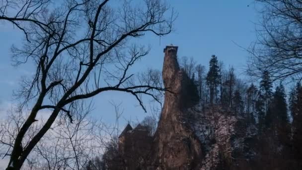 Château Magique Draculas Time Lapse — Video