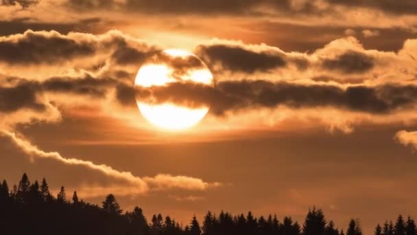 Ακολουθήστε Τον Ήλιο Στο Ηλιοβασίλεμα Πάνω Από Δάσος Time Lapse — Αρχείο Βίντεο