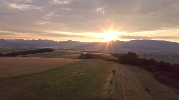 Vista Aérea Luz Sol Dourado País Rural — Vídeo de Stock