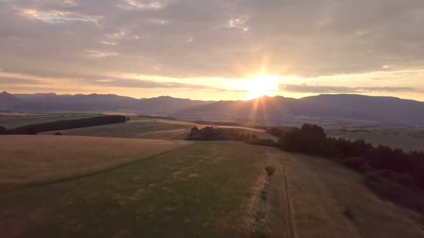 Vista Aérea Luz Dorada Del Sol Campo Rural — Vídeos de Stock