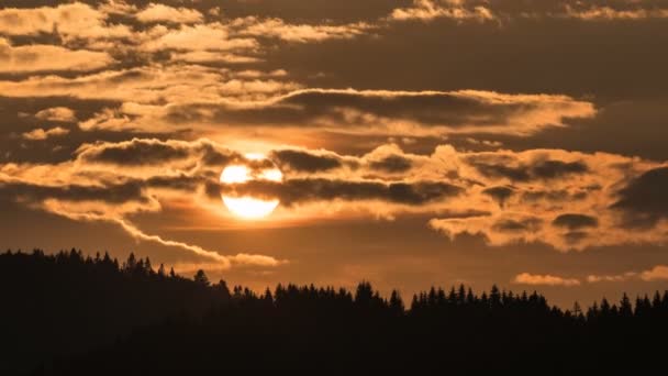 Захід Сонця Протягом Лісової Проміжки Часу — стокове відео