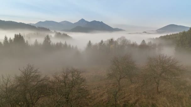 雾的早晨在山时间失效 — 图库视频影像