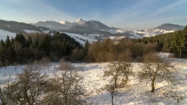 Manhã Ensolarada Inverno Nas Montanhas — Vídeo de Stock