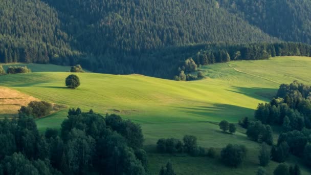 Luz Del Atardecer Moviéndose Sobre Verde Campo Time Lapse — Vídeo de stock