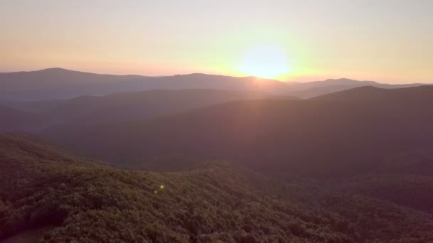 Sonnenaufgang über dem Waldgebiet — Stockvideo