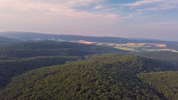 Luftaufnahme des Waldtals in sommerlicher Abendlandschaft — Stockvideo