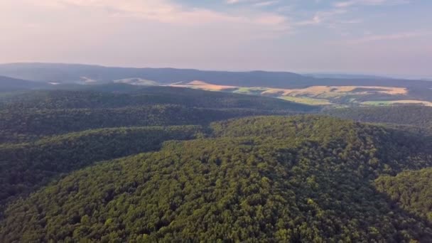 Вид з повітря на лісову долину в літній вечірній пейзаж — стокове відео
