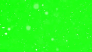 Yumuşak yağan karın yeşil ekran klipsi. Üst üste bindirme, kompozitasyon ve VFX için temiz krom anahtarlı kış arkaplanı. Huzurlu kış ortamı, tatil başlıkları, hava durumu ve reklamlar için ideal kar yağışı..