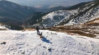 Bir kayakçı ve iki köpeği kışın sonlarında karla kaplı bir dağ sırtında gösteren İHA görüntüsü. Manzaralı panoramik manzara kayak turu macerası, açık hava yaşam tarzı, seyahat ve kış sporları için ideal.