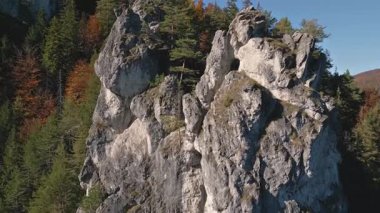 Sonbahar renginde bir dağ ormanının üzerindeki dramatik kireçtaşı kayaları boyunca kuş bakışı görüntü yükselir. Engebeli uçurumların, çamların, kayın ağaçlarının ve açık gökyüzünün huzurlu bir görüntüsü. İdeal doğal arkaplan veya