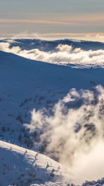 Rüzgarın donmuş yamaçlar ve karlı ormanlar boyunca sisli bulutları itmesiyle güneşli kış dağlarının dikey hızlanması. Işıl ışıl kar ve dramatik gölgelerle aydınlık, soğuk dağ manzarası
