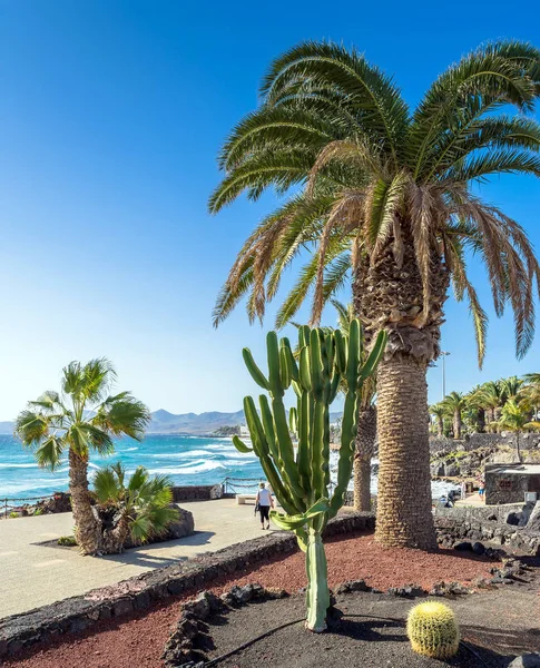 Puerto Del Carmen Spain December 2016 Day View Boardwalk Palms — Stock Photo, Image