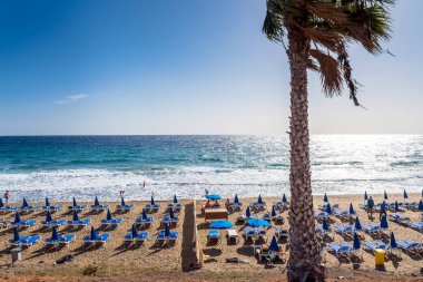 Puerto del Carmen, İspanya - 29 Aralık 2016: gün görünümü Beach palm ve turistler Puerto del Carmen, İspanya ile. Puerto del Carmen başlıca turistik kasabadır Adası Lanzarote, Kanarya Adaları