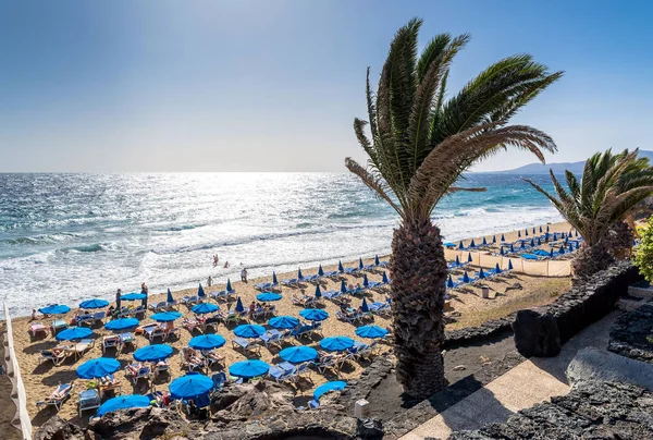 Puerto Del Carmen Spain December 2016 Day View Beach Palm — Stock Photo, Image