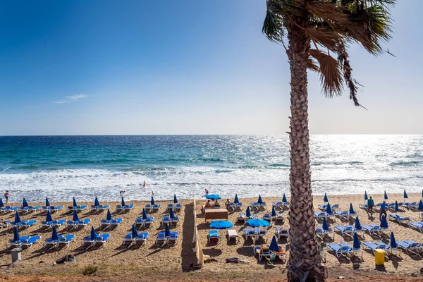 Puerto del Carmen, İspanya - 29 Aralık 2016: gün görünümü Beach palm ve turistler Puerto del Carmen, İspanya ile. Puerto del Carmen başlıca turistik kasabadır Adası Lanzarote, Kanarya Adaları