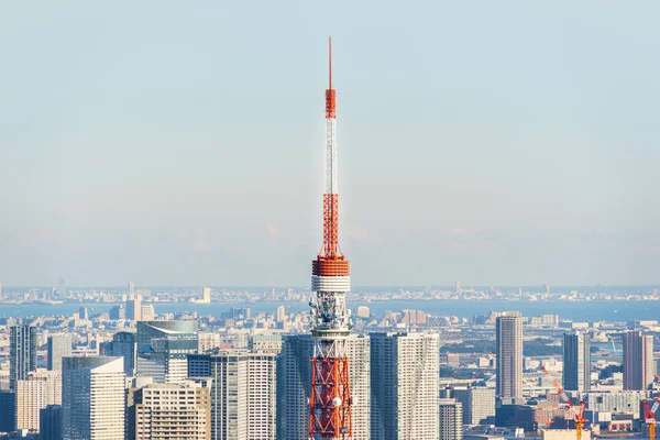 Koncepcja Biznesowa Azji Nieruchomości Firmy Budowlane Nowoczesne Miasta Skyline Ptak — Zdjęcie stockowe