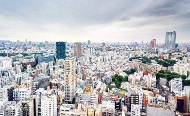 İş ve kültür kavramı - tokyo Tower Tokyo, Japonya'da dramatik gri bulutlu gökyüzü altında panoramik modern şehir manzarası kuş gözü havadan görünümü