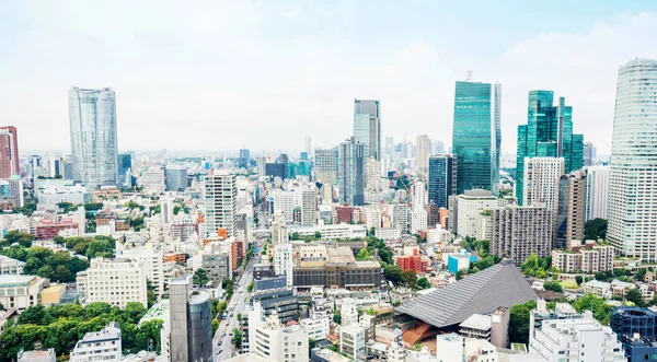 Üzleti Kulturális Koncepció Panorámás Modern Madár Szem Légi Városra Tokyo — Stock Fotó