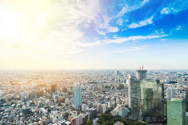 Business and culture concept - panoramic modern city skyline bird eye aerial view under dramatic sun and morning blue cloudy sky in Tokyo, Japan