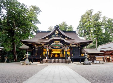Katori jingu Tapınağı yeşil orman içinde. Tarih Kültür Mirası Chiba İli, Japonya