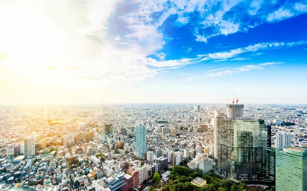 Tokyo Japonya Bulutlu Gökyüzü Mavi Panoramik Modern Şehir Manzarası Kuş — Stok fotoğraf