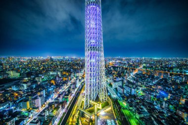 Asya iş kavramı Emlak ve kurumsal inşaat - panoramik şehir şehir manzarası havadan görünümü altında alacakaranlık gökyüzü ve neon gece tokyo, Japonya
