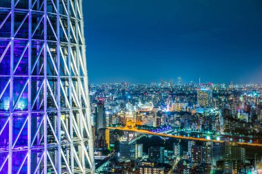 Asya iş kavramı Emlak ve kurumsal inşaat - panoramik şehir şehir manzarası havadan görünümü altında alacakaranlık gökyüzü ve neon gece tokyo, Japonya