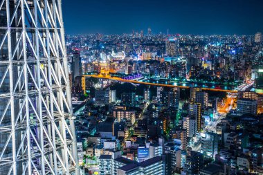 Asya iş kavramı Emlak ve kurumsal inşaat - panoramik şehir şehir manzarası havadan görünümü altında alacakaranlık gökyüzü ve neon gece tokyo, Japonya
