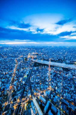 Asya iş kavramı Emlak ve kurumsal inşaat - panoramik şehir şehir manzarası havadan görünümü altında alacakaranlık gökyüzü ve neon gece tokyo, Japonya