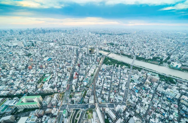 Koncepcja Biznesowa Azji Nieruchomości Firmy Budowlane Panoramiczny Miejskich Skyline Ptaka — Zdjęcie stockowe