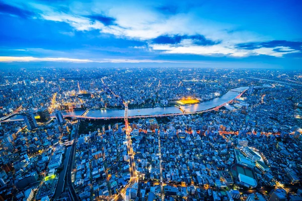 不動産と企業建設 東京都の夕暮れの空とネオンの夜の下でのパノラマ都市スカイライン上空表示のためアジアのビジネス コンセプト — ストック写真